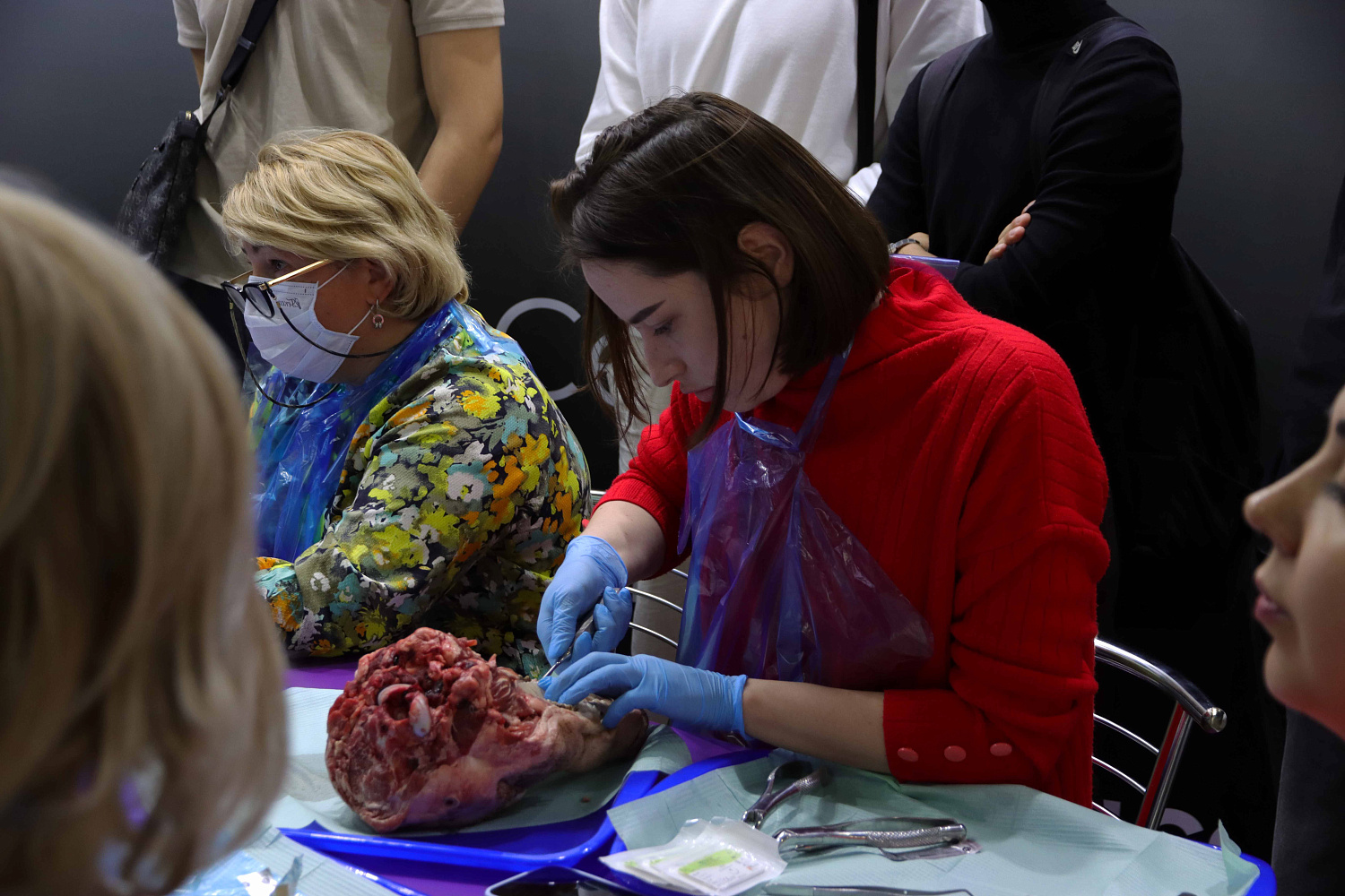 DENTAL EXPO 2024